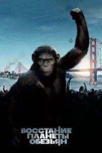 Постер Восстание планеты обезьян (Rise of the Planet of the Apes)