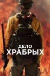 Дело храбрых (2017)